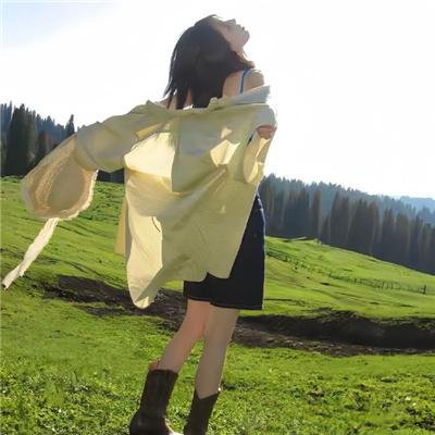 黑蝇