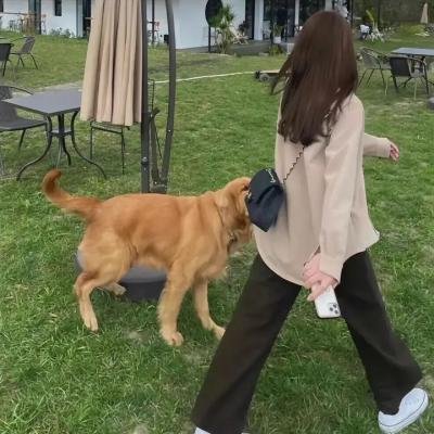 光棍之家